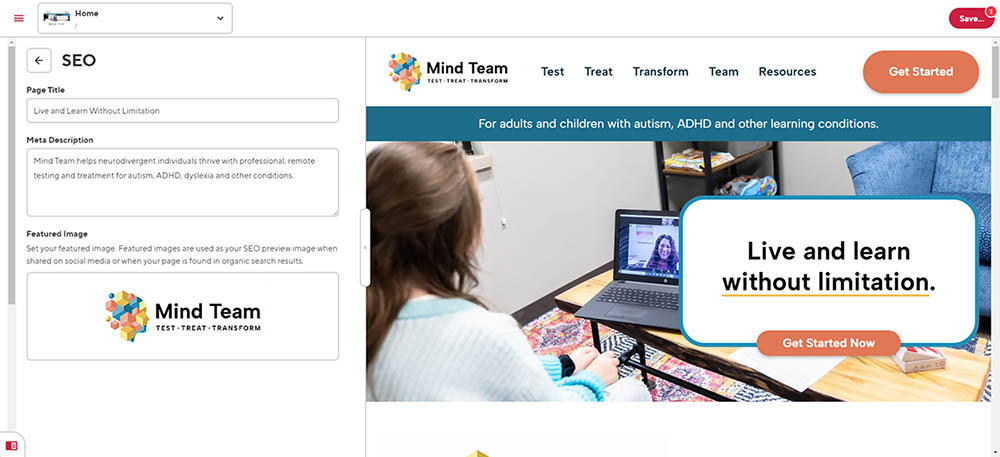 Mind Team SEO Preview Screenshot