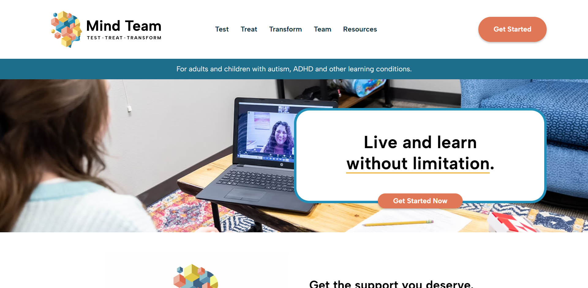 Mind Team Website Screenshot
